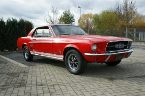 Mustang_2013_10_09